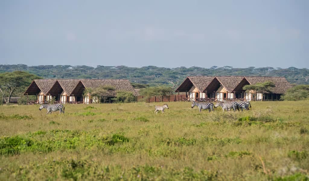 Lake Ndutu Luxury Tented Lodge