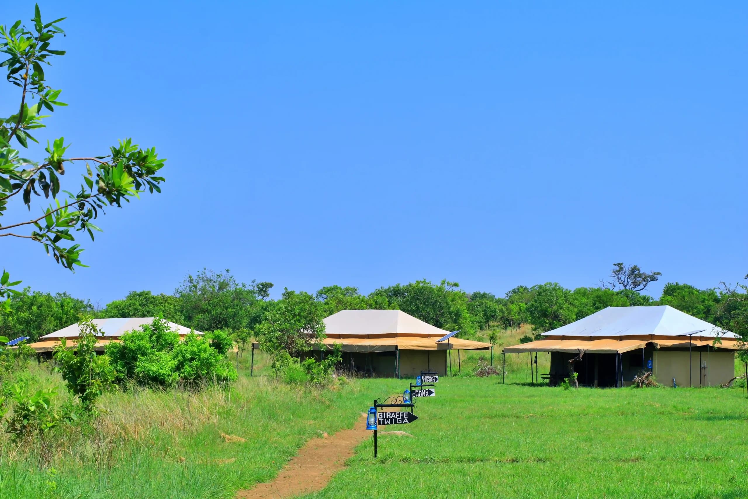 Tanzania Bush Camp Mara